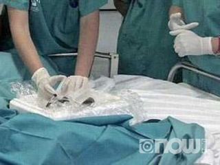 Солонгост сурч байсан монгол эмэгтэй нас барж эрхтэний донор болов