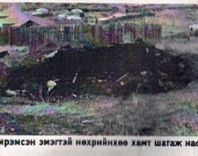 Шатаж нас барсан гэр бүлийнхнээс гэдэс дотор нь л үлджээ