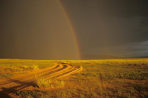 Эх орноо хайрлахад сэтгэл багадахгүй