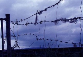 ШТС дээрэмдэж хүний аминд хүрсэн дээрэмчид малын хулгайн хэрэгтнүүд байж магадгүй