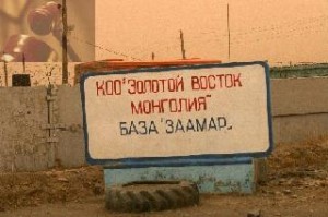 Татварын өртэй компаниудыг 151 тэрбум төгрөгөөр “Алтандорнод Монгол” тэргүүлж байна