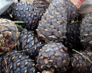 Авлигын хэрэгт гаалийн дөрвөн байцаагчийг нэмж саатууллаа
