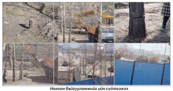 Нийслэлчүүдэд зочид буудлаас илүү ногоон байгууламж хэрэгтэй