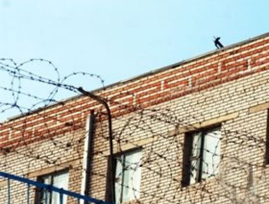 Мөнгөнморьтын шорон 20 жилийн өмнө тагтаа, муурны ярганы газар байлаа
