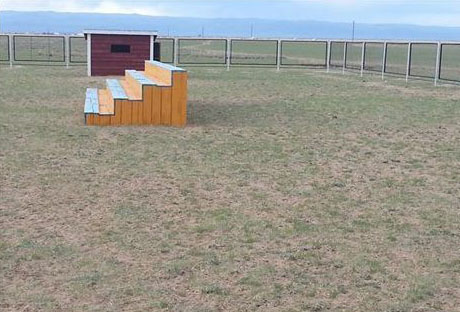 60 сая төгрөгөөр тохижуулсан наадмын талбай