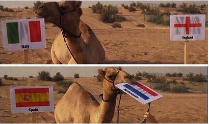 ДАШТ-ний ялах багуудыг үнэн мэргэлдэг тэмээ дэлхий дахинд шуугиан тариад байна