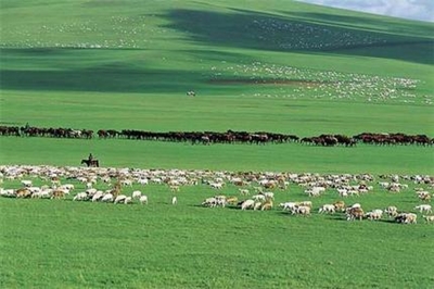Бэлчээрийн газар нутгийг хаягжуулна