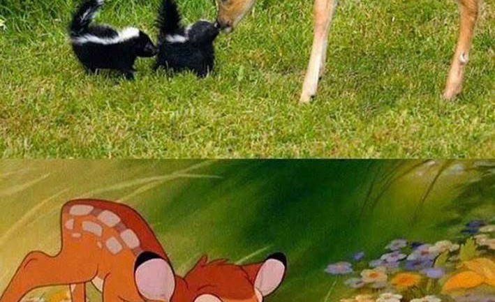 “Disney” баатрууд бодит амьдрал дээр…/фото/