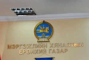 Хүнсний нэмэлт бүтээгдэхүүний 80 хувийг стандартын бус гэв