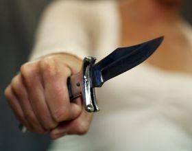 Судалгаа авахаар гэрт нь ирсэн эмэгтэйг олон удаа хутгалж хөнөөжээ