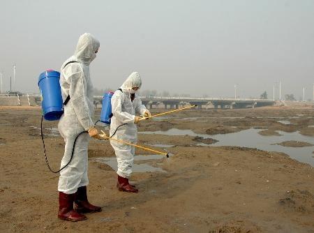 Булган аймгийн Могод суманд галзуу өвчин гарчээ