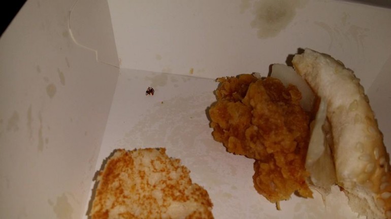 KFC үхсэн шавьжтай хоолоо юу гэж тайлбарлах вэ