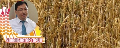 ҮАБЗ-ийн зөвлөмжгүйгээр эхний 200 вагон улаанбуудайг ОХУ-аас импортолж эхэлжээ