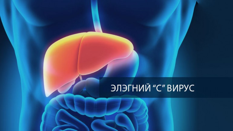 Элэгний С вирусыг эмчлэх үндэсний хөтөлбөр санаачилжээ