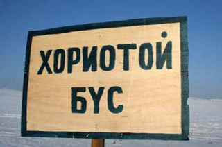 Малын галзуу өвчин бүртгэгджээ