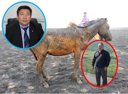 Булган аймгийн Баяннуур суманд 52 тооны адуу амьдаараа шатжээ /фото+видео/