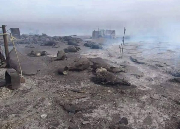 Үхэлтэй нүүр тулсан Ц.Очирхуягийн гэр бүлд тохиолдсон явдал