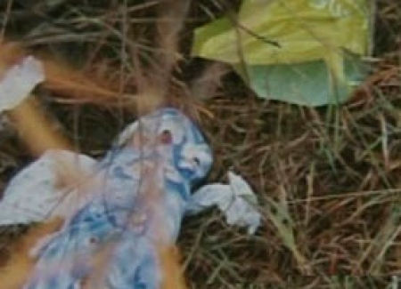 Хогийн цэгээс нярайн цогцос олджээ