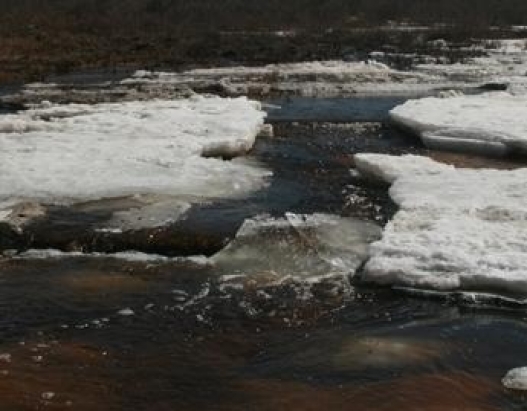 Үер, усны аюулаас болгоомжил