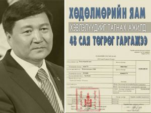 Хөдөлмөрийн яам хэвлэлүүдийг тагнах ажилд 48 сая төгрөг гаргажээ