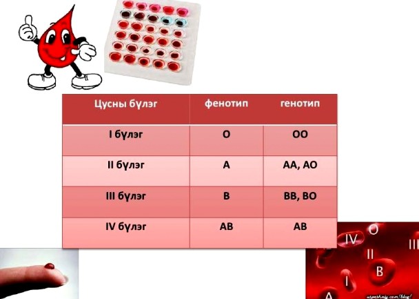 Цусны бүлгээр хүний зан араншинг шинжихүй