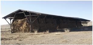 Боодол өвс 4000-6000 төгрөгийн үнэтэй байна
