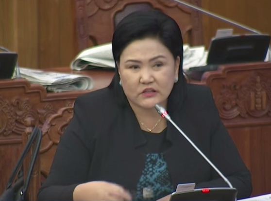 Д.Оюунхорол: Д.Батцогт бидний өргөн барьсан хуулийн төслийн үзэл санааг хулгайлсан VIDEO