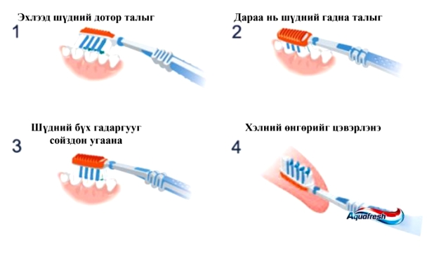 Шүдээ хэрхэн зөв угаах вэ