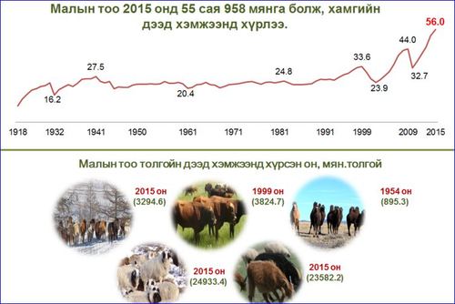 Мал тооллогын урьдчилсан дүн гарлаа