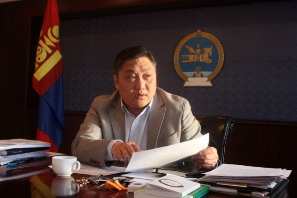 Түмний мөнгөөр зугаацагч “Нүүдлийн шувуухай”