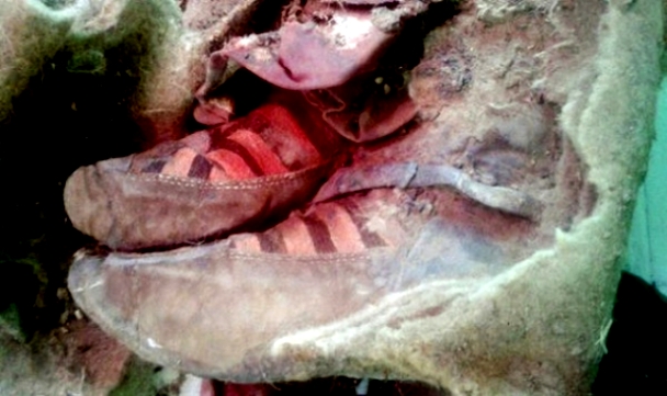 “Adidas”-ын гутал өмссөн занданшуулсан шарил Монголд олджээ