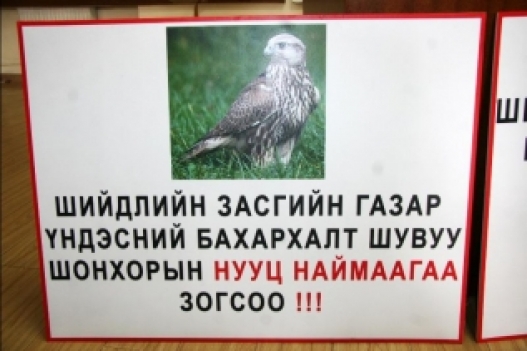 Нууц тогтоол гаргаж 200 гаруй шонхор хил давуулсаныг буруушаав