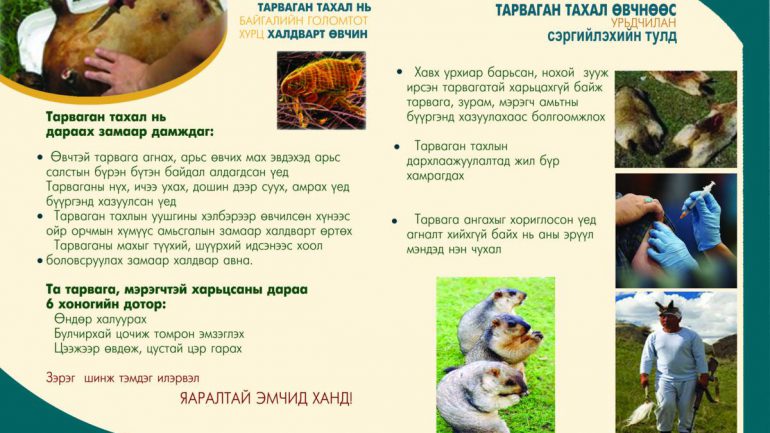 Тарвага агнах, худалдаалах, худалдан авахгүй байхыг анхааруулж байна