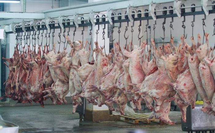 Экспортлогч  аж ахуйн нэгжүүдийн орлого нэмэгдэнэ