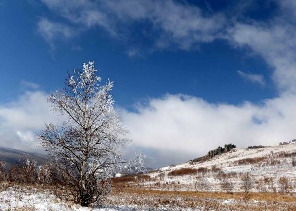 Улаанбаатарт өдөртөө 10-12 градус хүйтэн