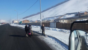 Энэ амралтын өдрүүдэд бүх нийтийн их цэвэрлэгээтэй
