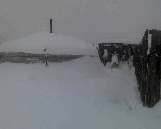 Өвөрхангай аймагт 40 орчим цаг үргэлжлэн цас орсны улмаас цасны зузаан 80-120 см болжээ
