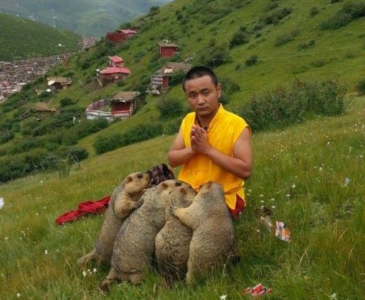 “Амьтны үр ялгал юун”