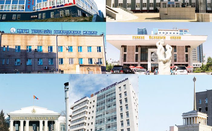 Оффисын цэцэрлэгийг олон болгоё