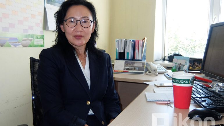 “Энэ өвөл олон жилийн дунджаас ДУЛААН байх боловч ЦАС их орох төлөвтэй байна”