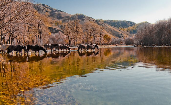 Хяруу унах улирал 13 цаг 02 минутад эхэлнэ
